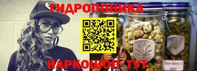 ALPHA-PVP Бердск