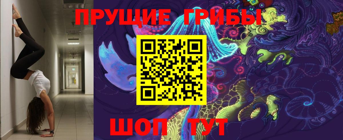 Керчь  Псилоцибиновые грибы MAGIC MUSHROOMS  Вход с VPN 